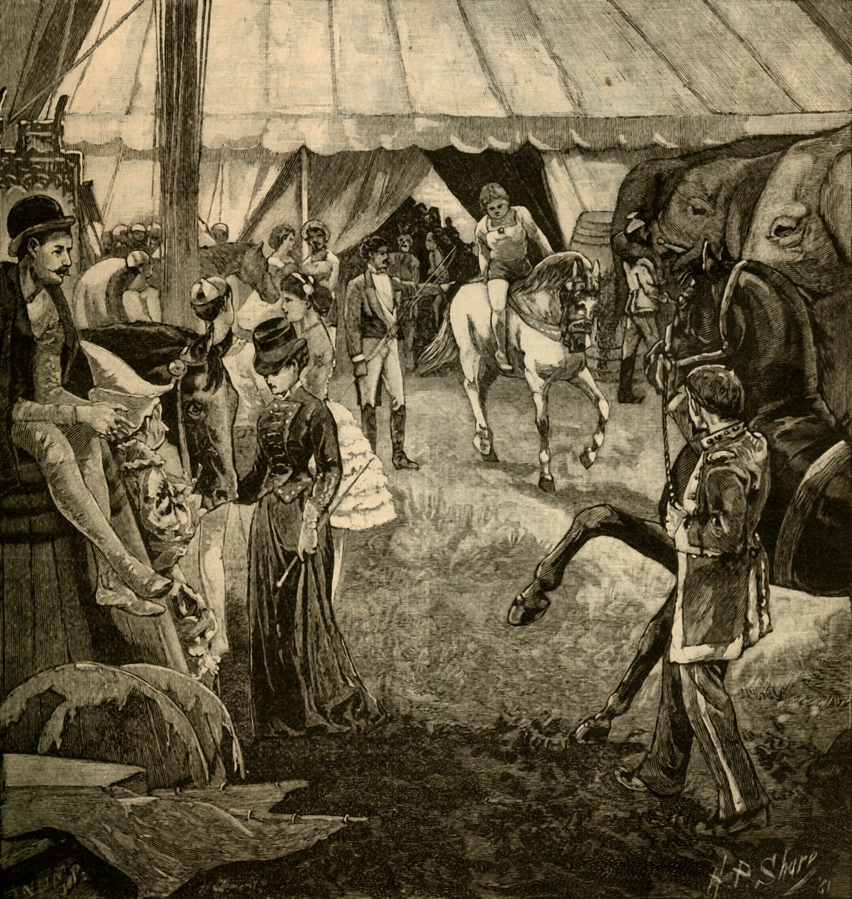 Klaar om de ring in te gaan, 1882 door Unbekannt