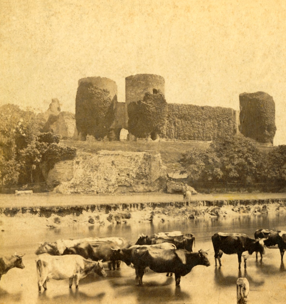 Rhuddlan - Kasteel vanaf de rivier, c1900 door Unbekannt