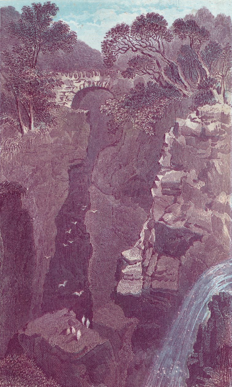 Rumbling Bridge. Dunkeld, 19e eeuw door Unbekannt