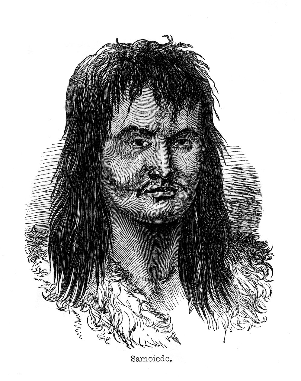Samojeed, 1848 door Unbekannt
