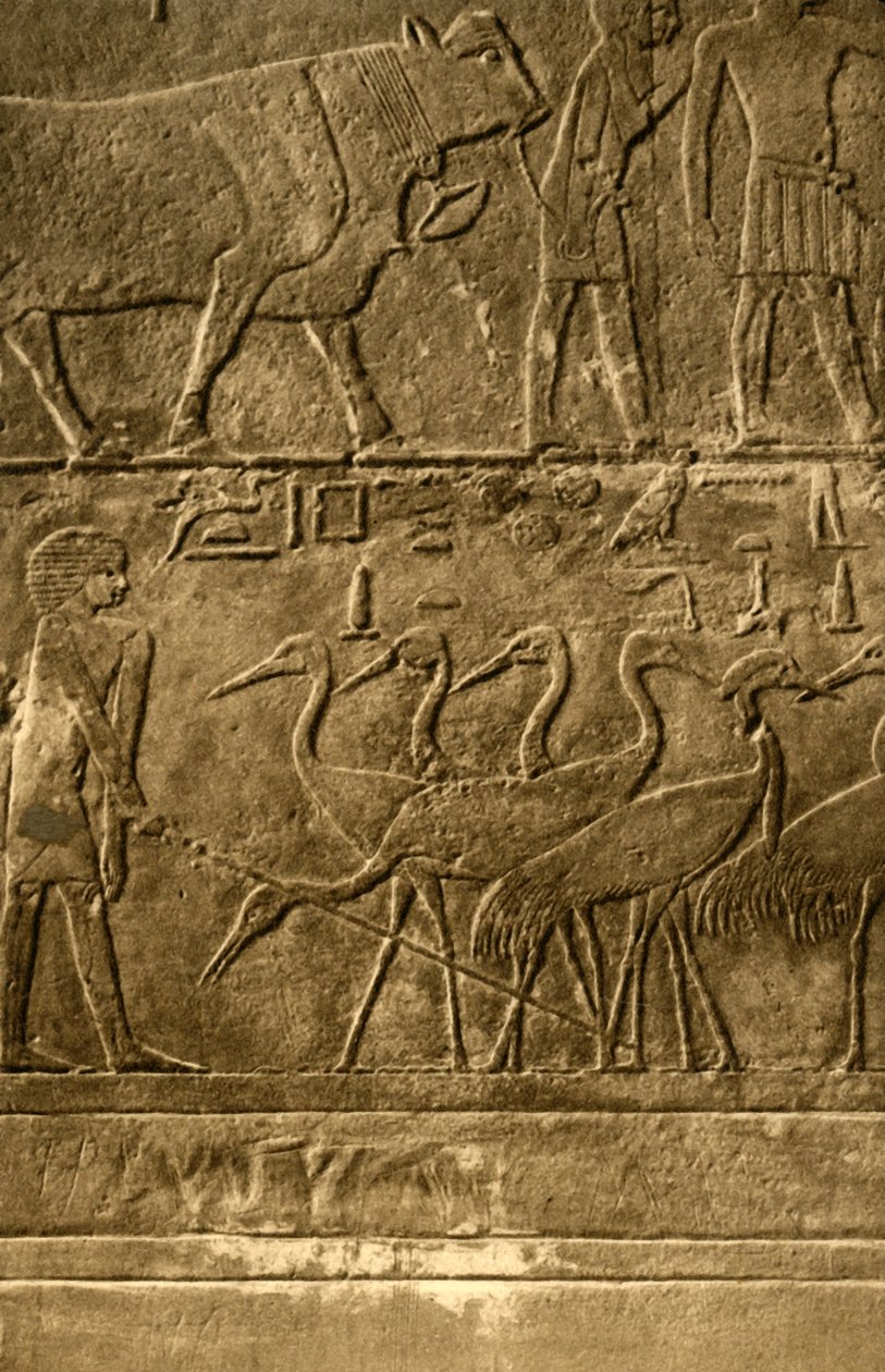 Saqqara - Graf van Ti muurschilderingen door Unbekannt