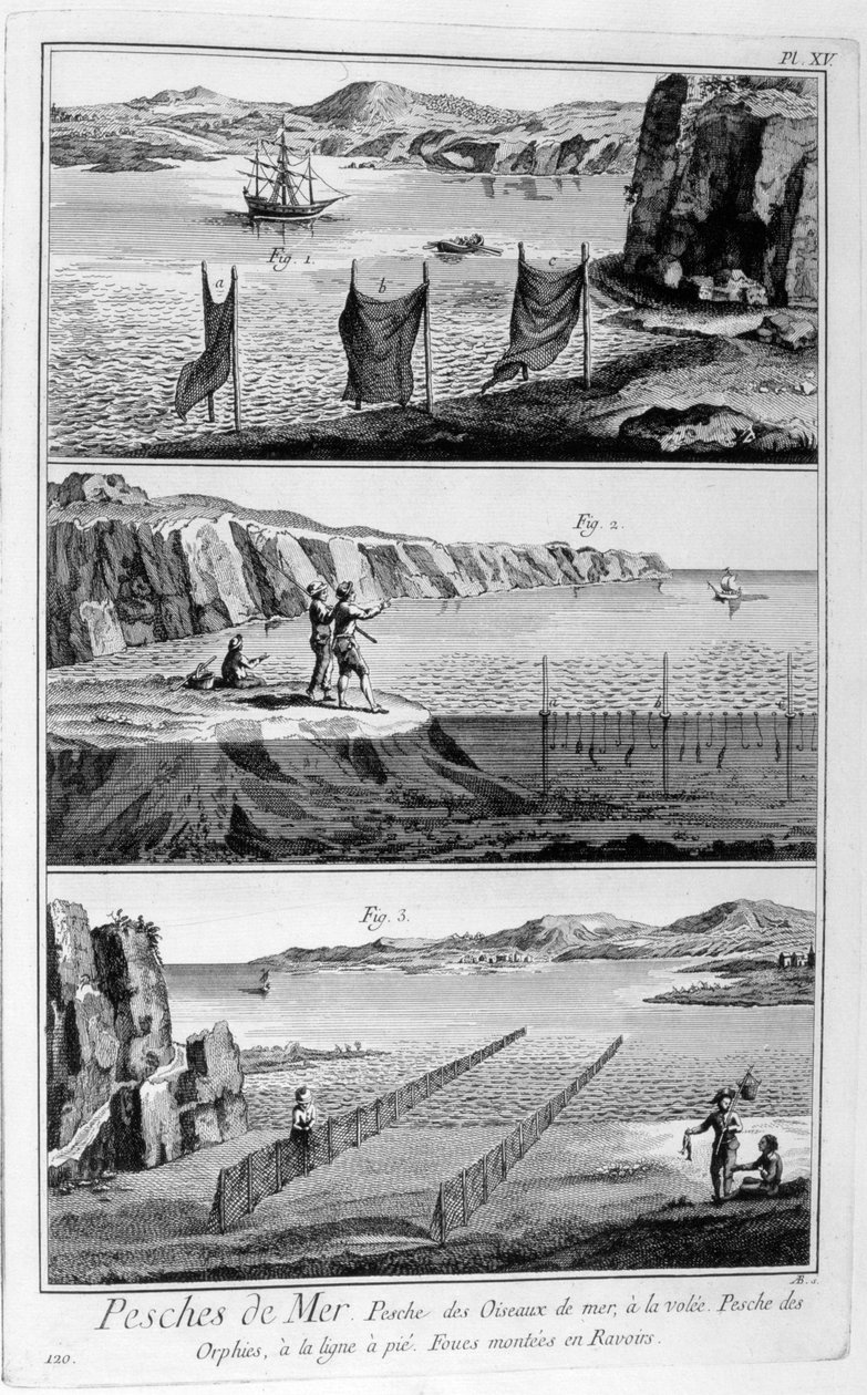 Zeevissen, 1751-1777 door Unbekannt