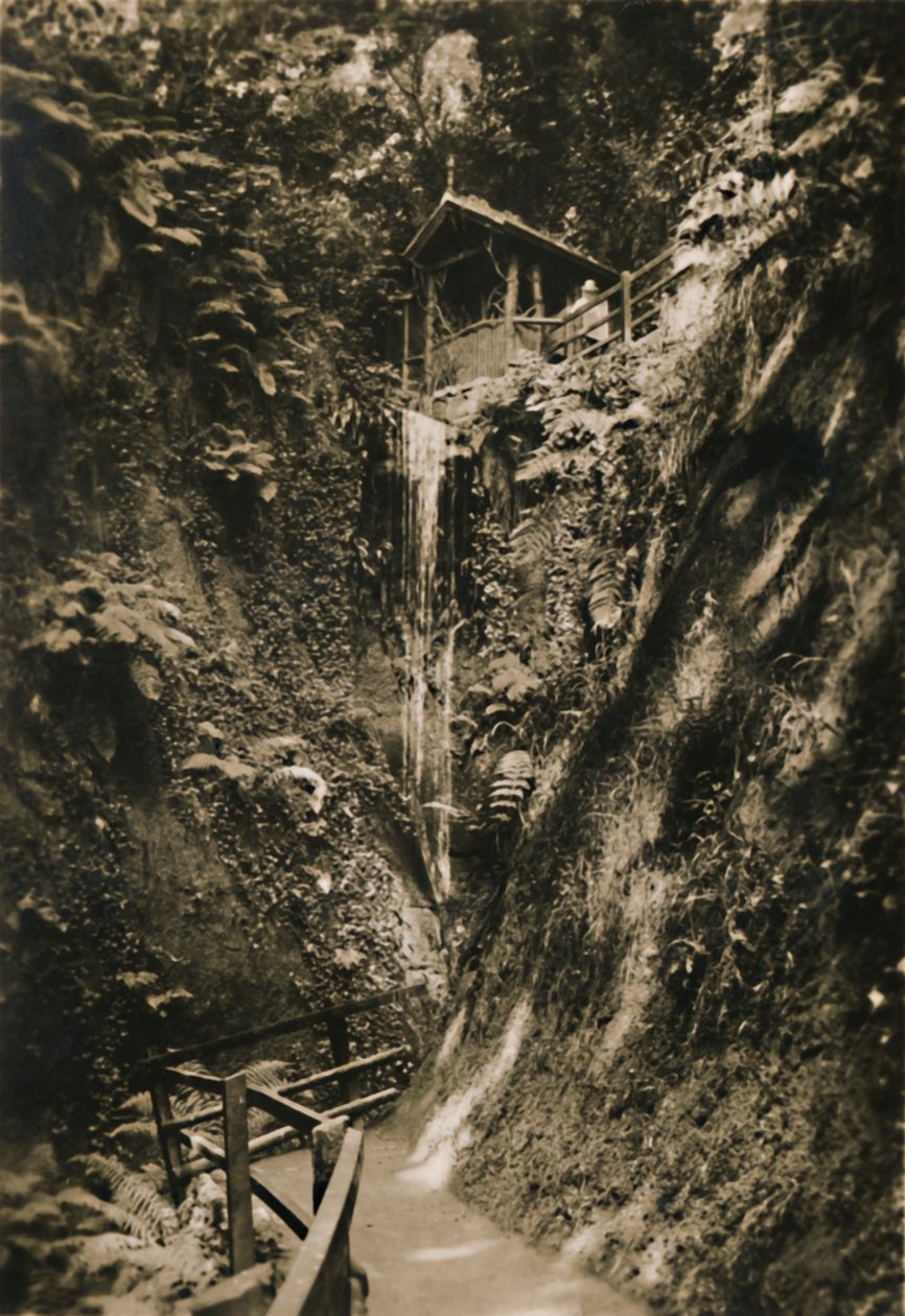 Shanklin Chine, I.W., ca. 1920 door Unbekannt