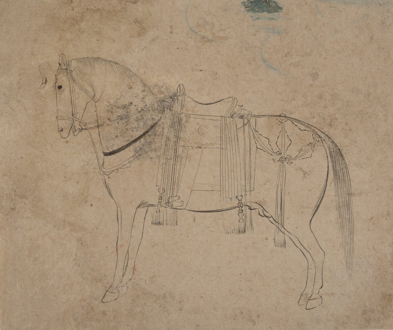 Schets van een Paard, late 18e eeuw door Unbekannt