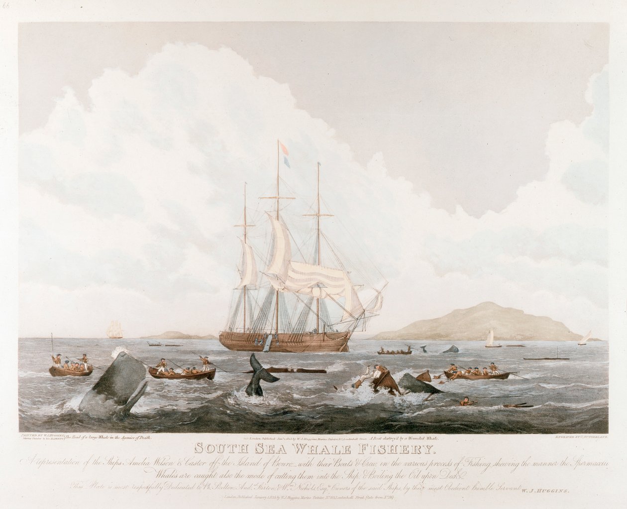 Zuidzee Walvisvangst, 1825 door Unbekannt