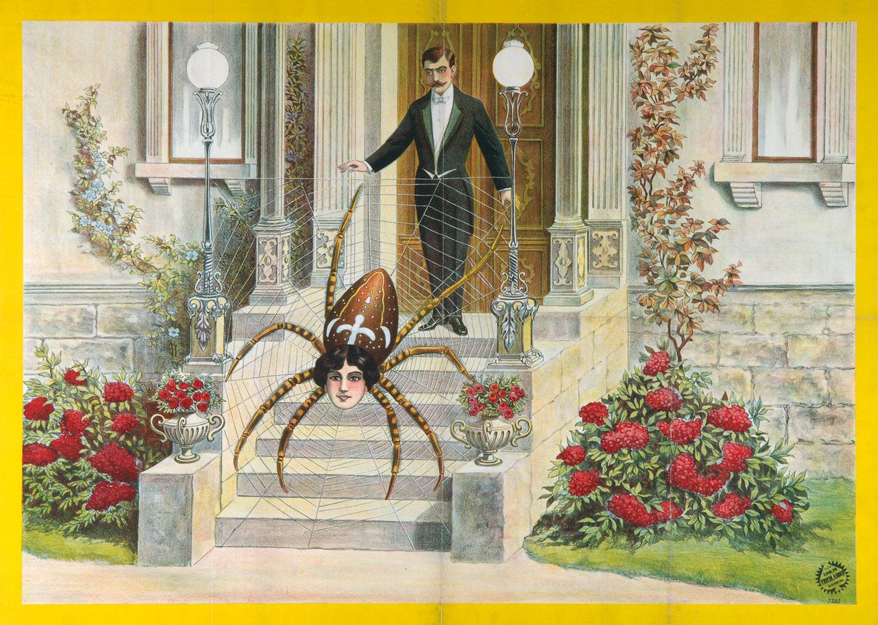 Spider-Woman Poster door Unbekannt