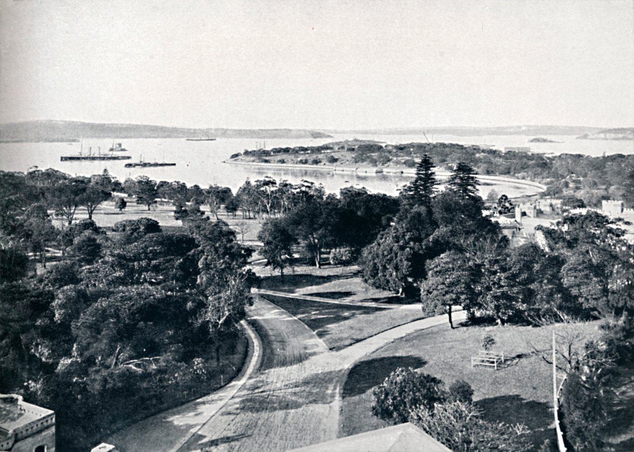 Sydney Harbour en Botanische Tuinen, ca. 1900 door Unbekannt