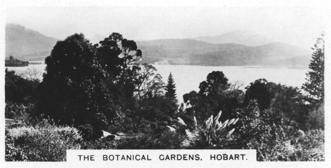 De Botanische Tuinen, Hobart, Tasmanië, 1928 door Unbekannt