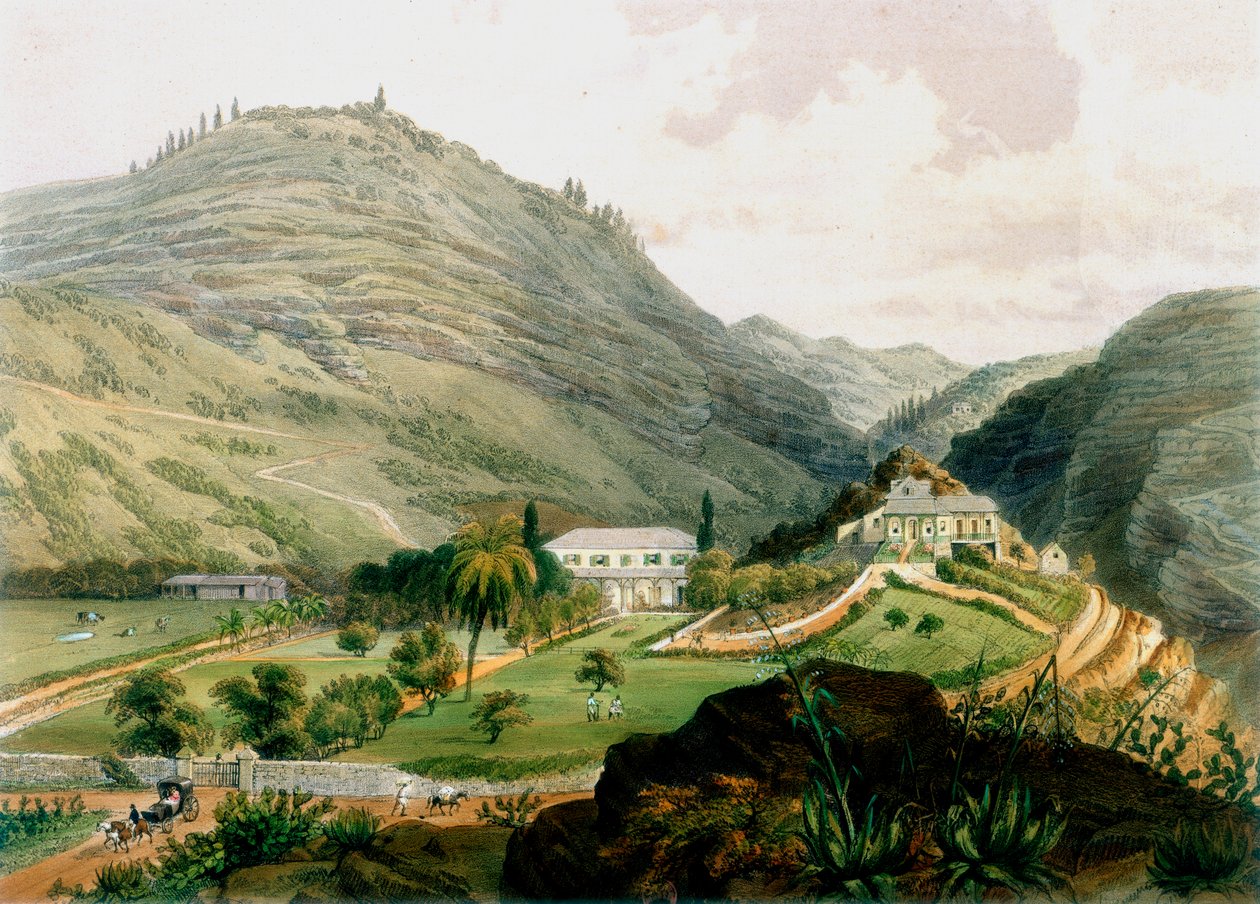 The Briars, St. Helena, begin 19e eeuw, 1851 door Unbekannt