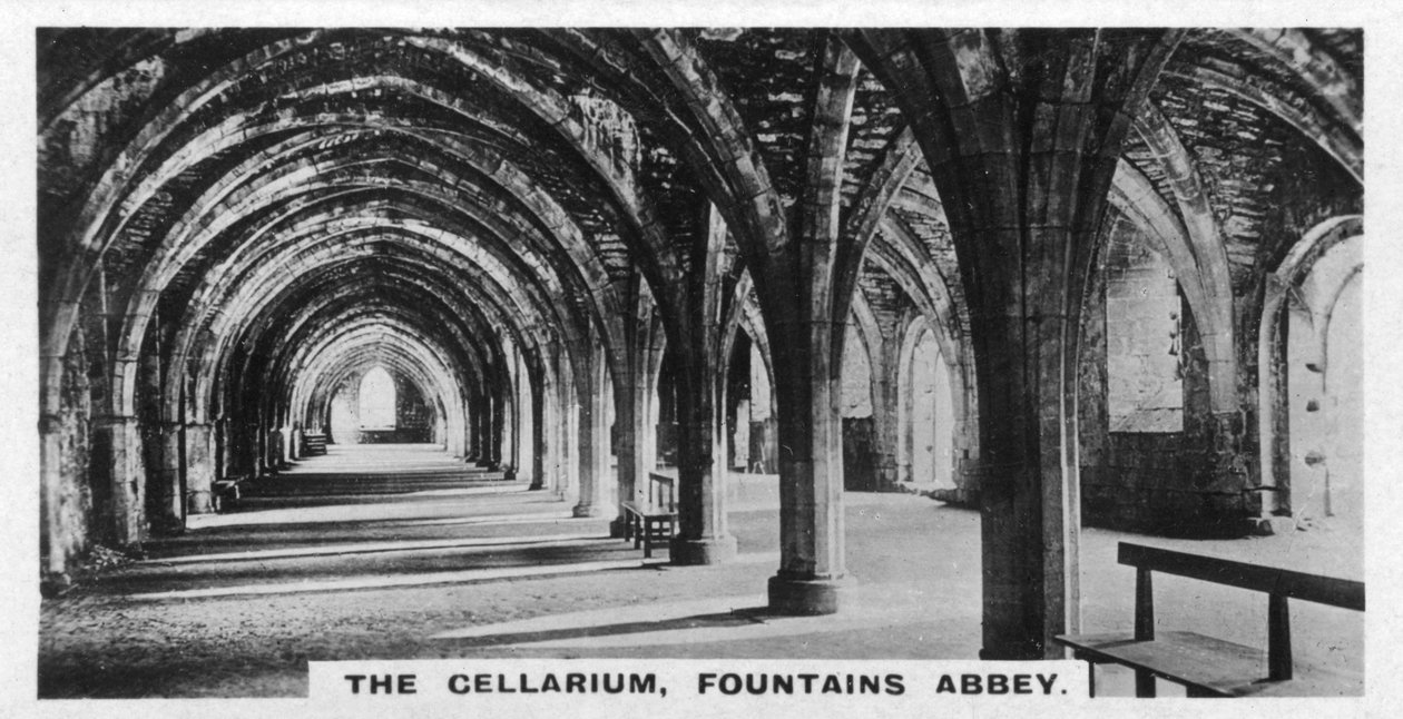 De Cellarium, Fountains Abbey, Yorkshire door Unbekannt