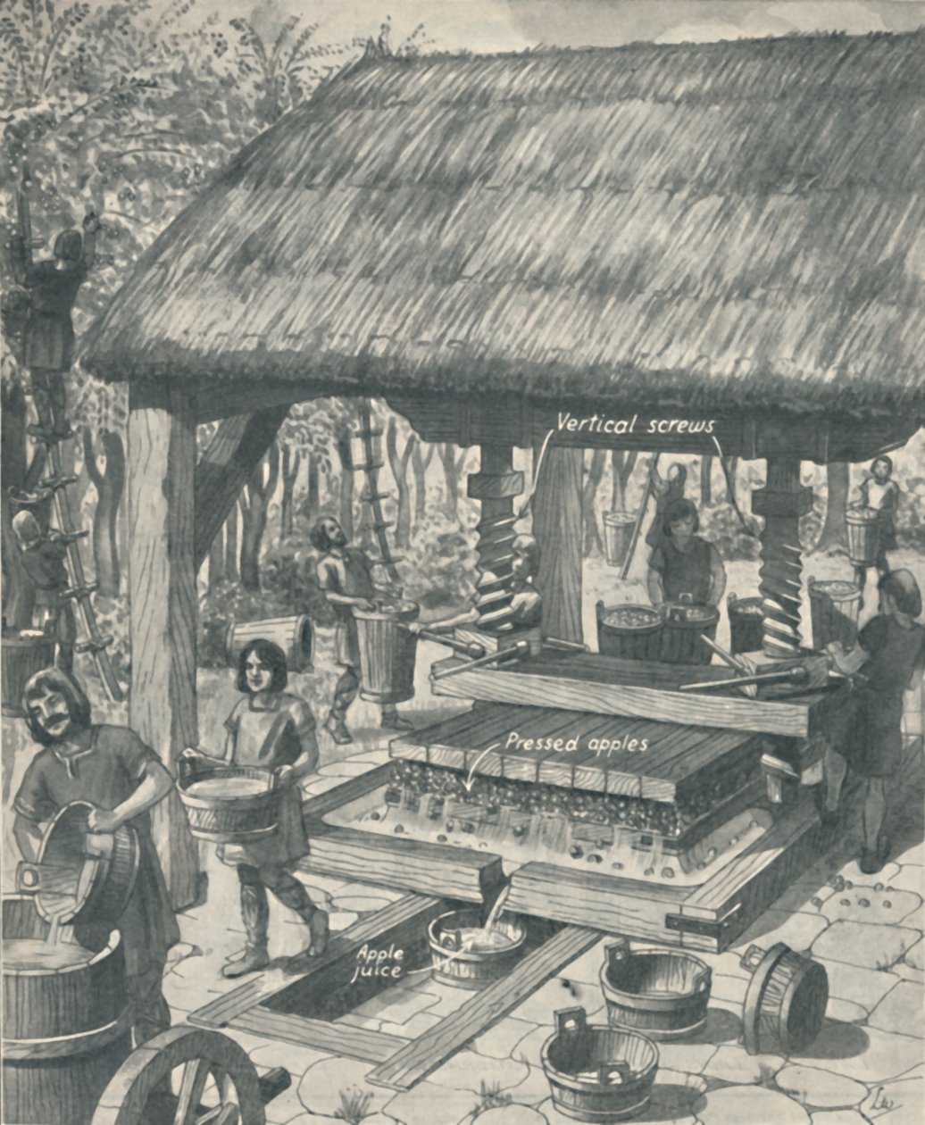 De Ciderpers in de Middeleeuwen, c1934 door Unbekannt
