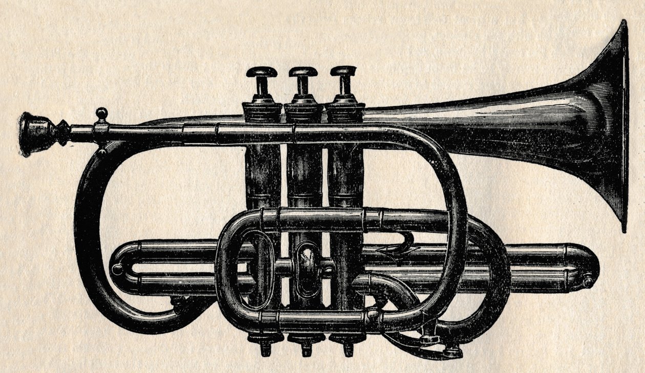 De Cornet door Unbekannt