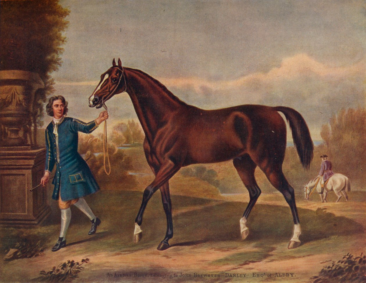 De Darley Arabian, ca. 1720, 1922 door Unbekannt