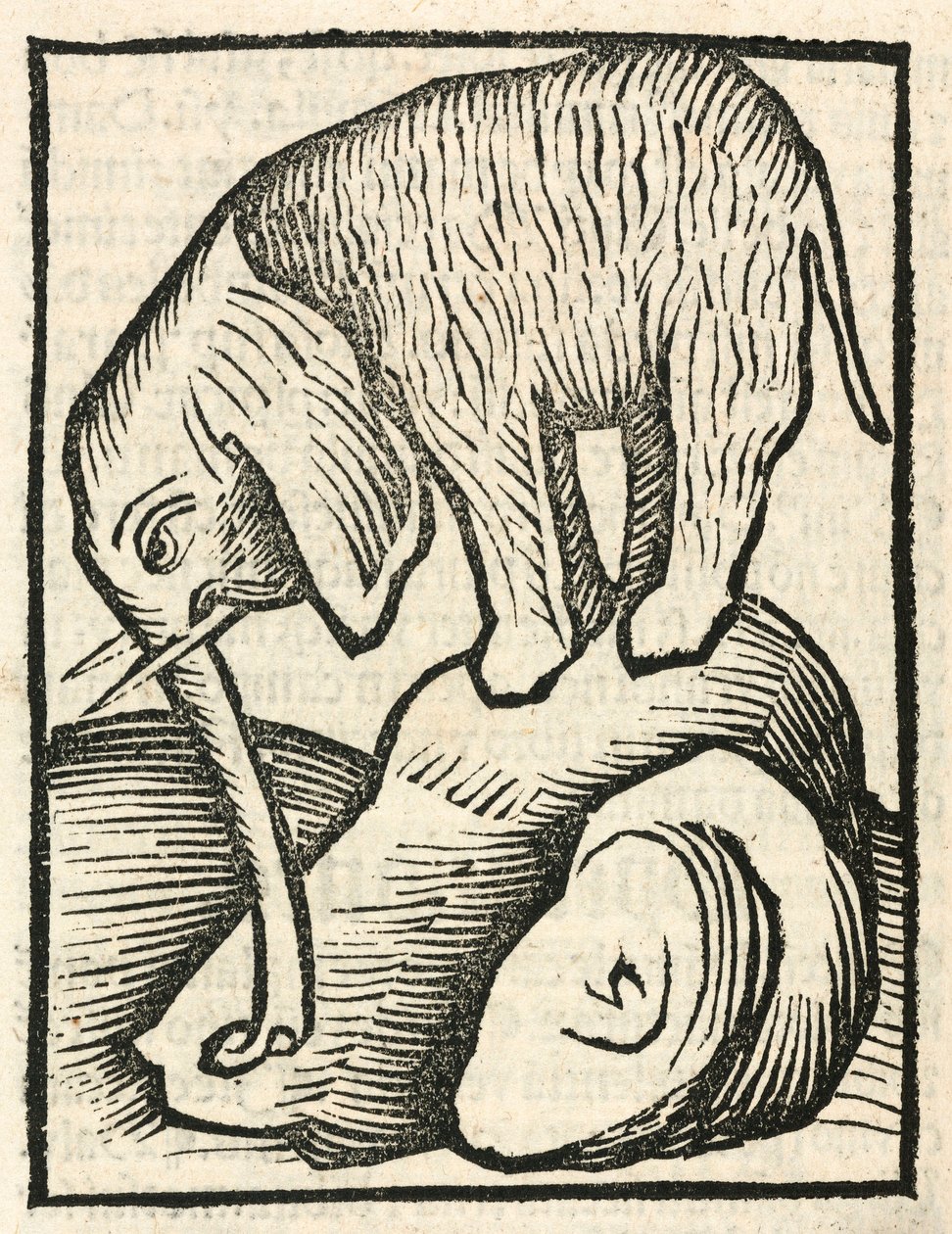 De Olifant door Unbekannt