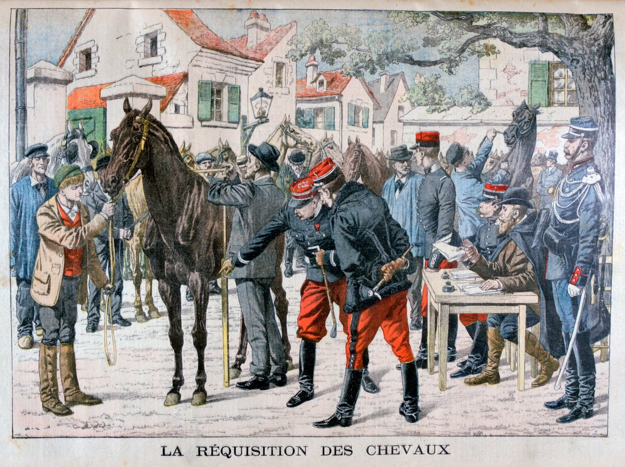 Het Franse leger koopt paarden, 1904 door Unbekannt