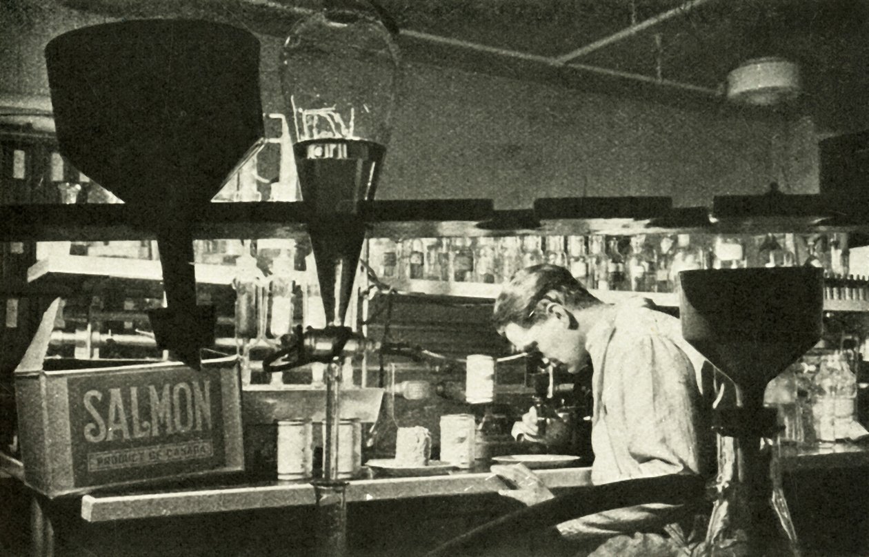 De grote zalmindustrie, ca. 1948 door Unbekannt
