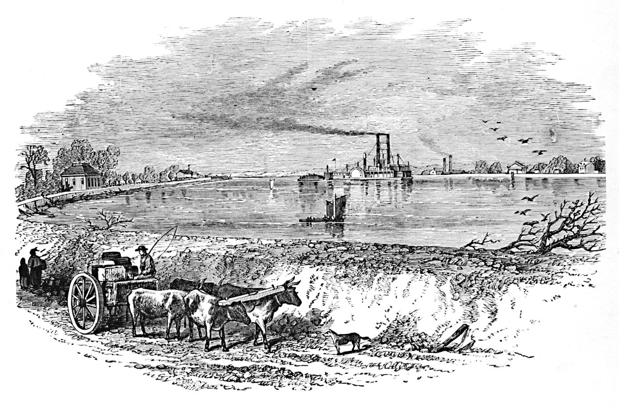 De Levee, 1883 door Unbekannt