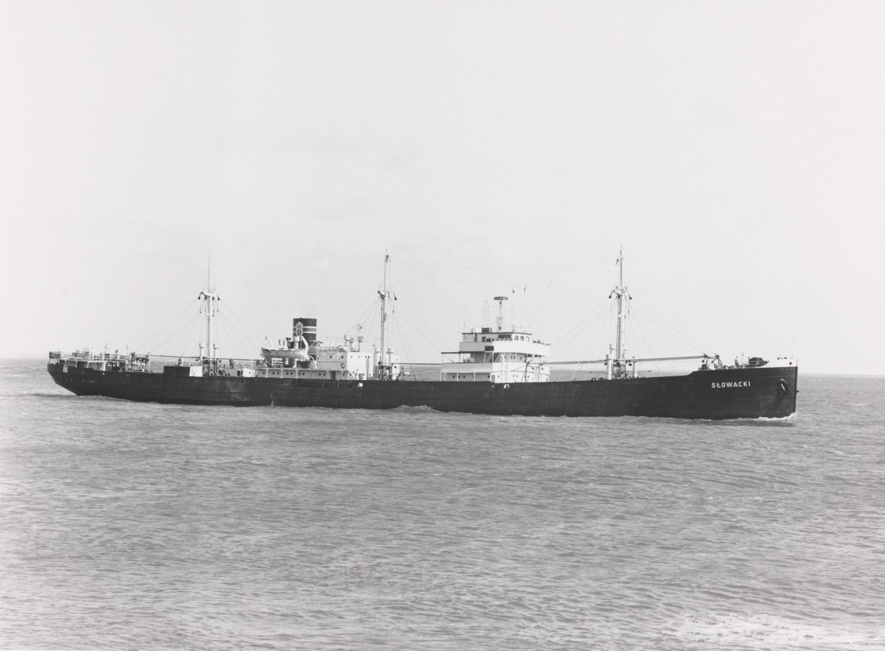 Het Poolse vrachtschip 