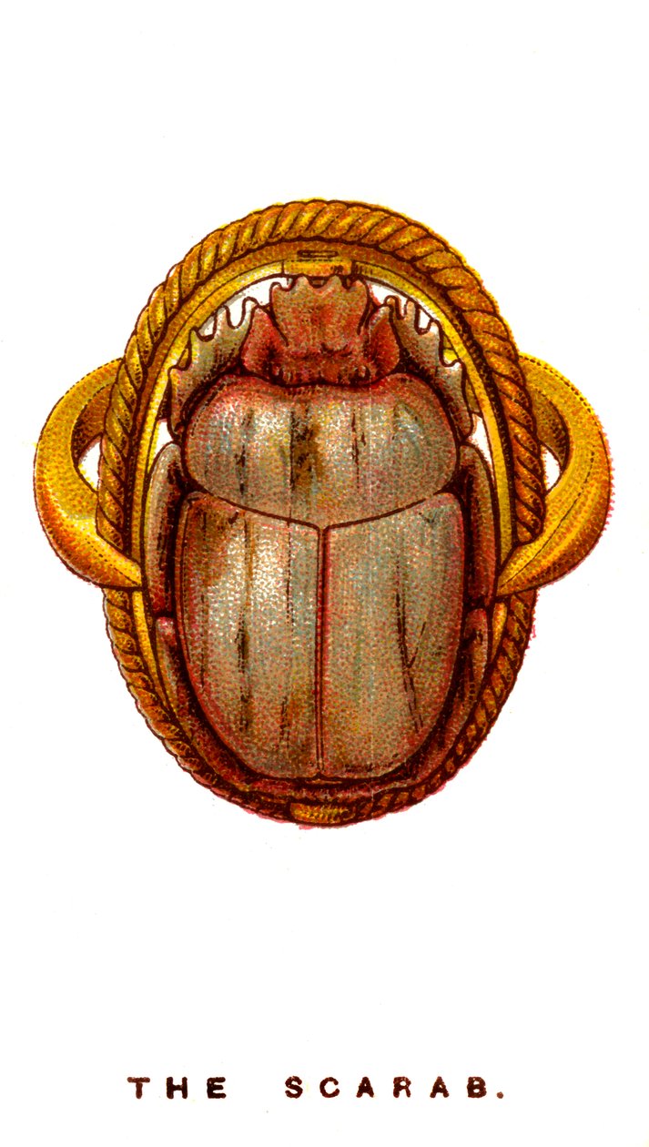 De scarabee, 1923 door Unbekannt