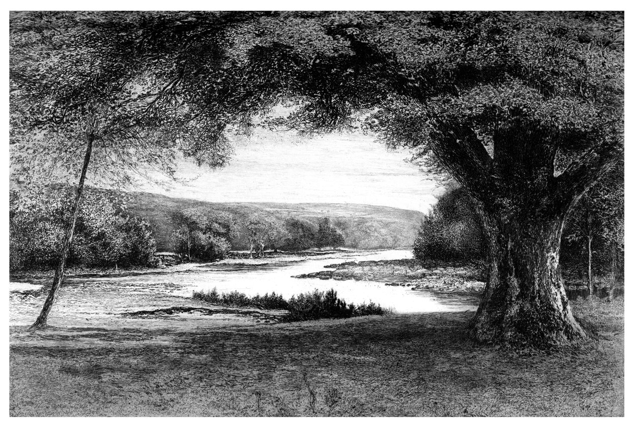 De Vale van Avoca, 1895 door Unbekannt