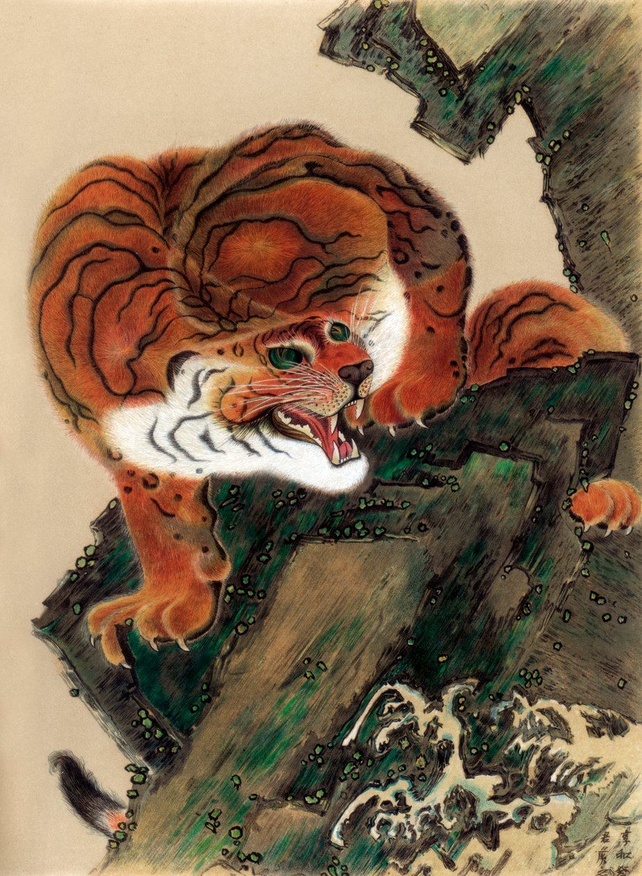 Tijger uit het leven, 1803 1886 door Unbekannt
