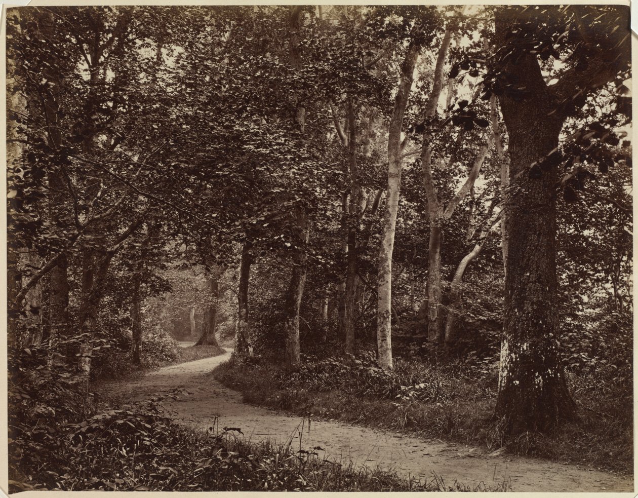 Zonder titel landschap, vroege 1860s door Unbekannt