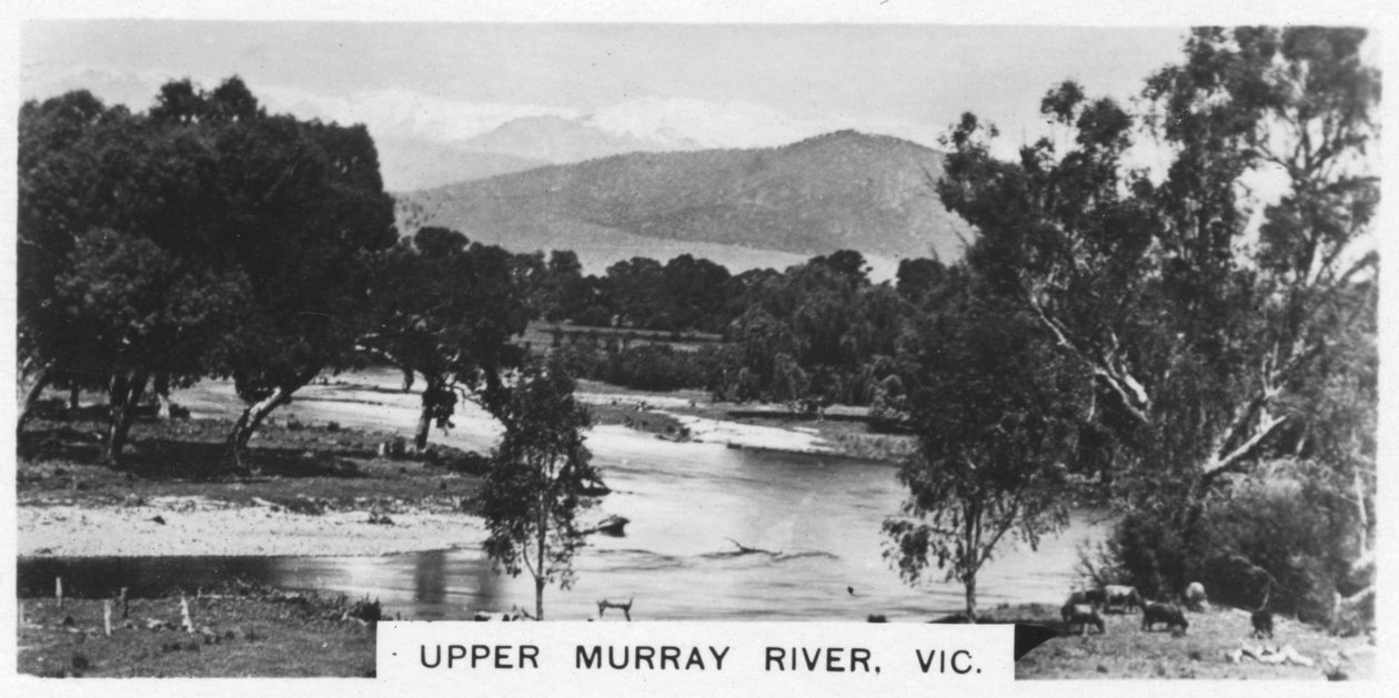 Bovenloop van de Murray River, Victoria, Australië, 1928 door Unbekannt