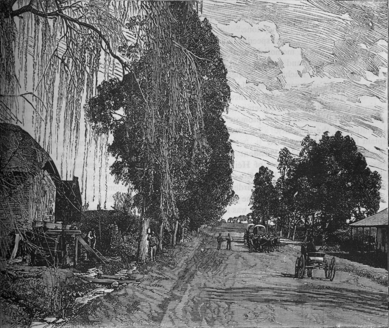 Uitzicht nabij Pretoria, ca. 1880 door Unbekannt