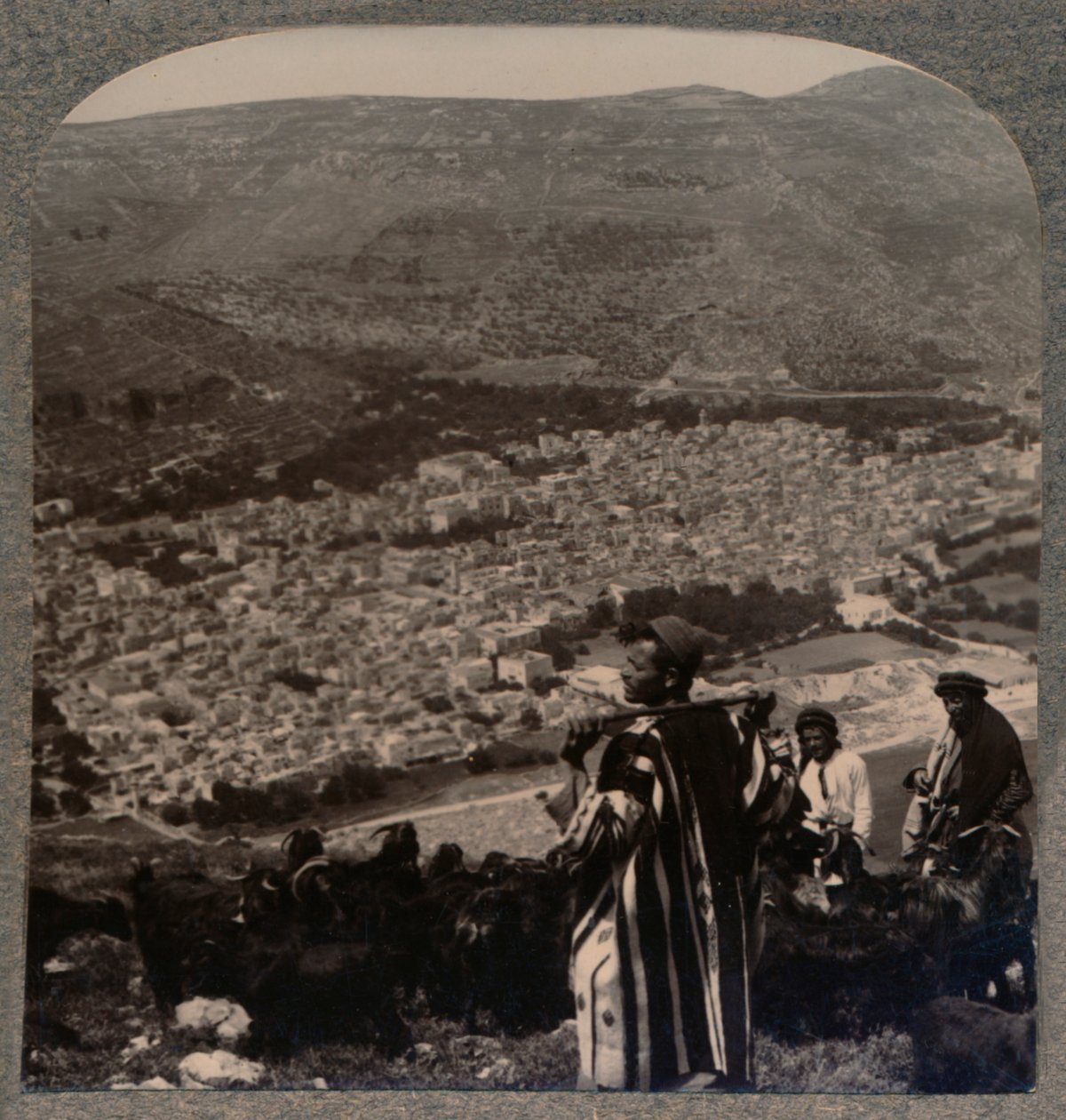Uitzicht op Nablus, ca. 1900 door Unbekannt