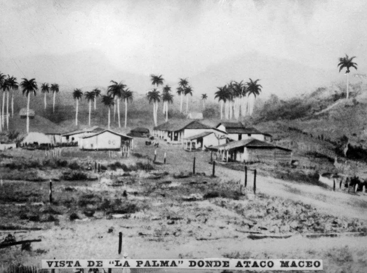 Uitzicht op Palma, 1896, 1920s door Unbekannt