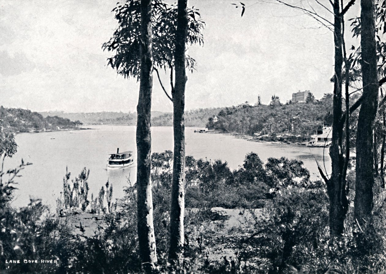 Uitzicht op de Lane Cove River, ca. 1900 door Unbekannt