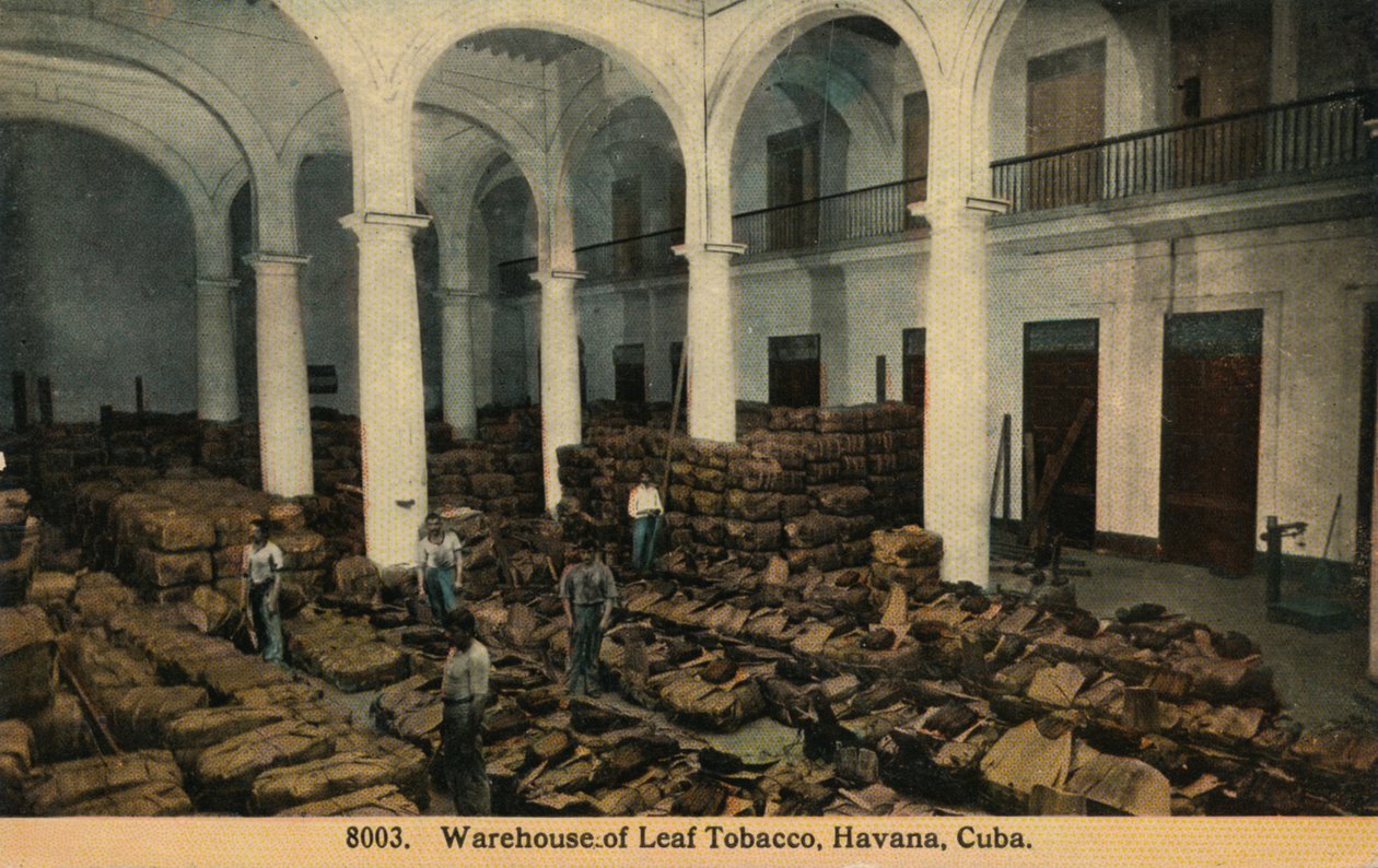 Magazijn van Bladtobak, Havana, Cuba, c1910 door Unbekannt