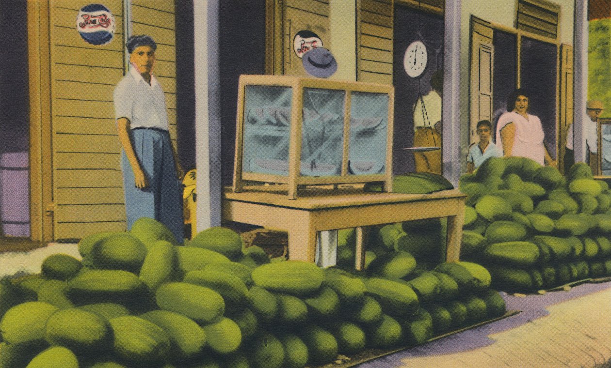 Watermeloenen Te Koop, Trinidad, B.W.I., c1940s door Unbekannt