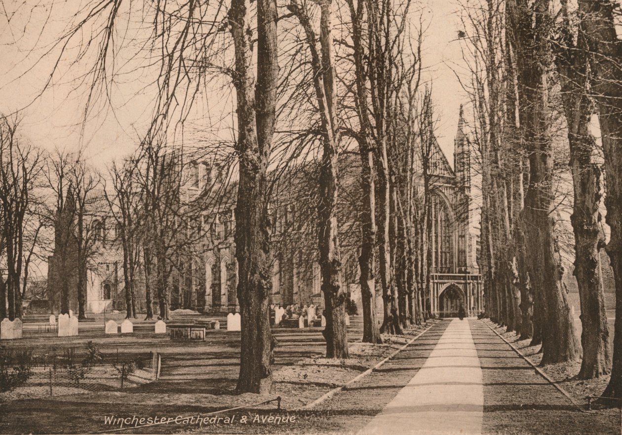 Winchester Cathedral en Avenue, Hampshire, begin 20e eeuw door Unbekannt