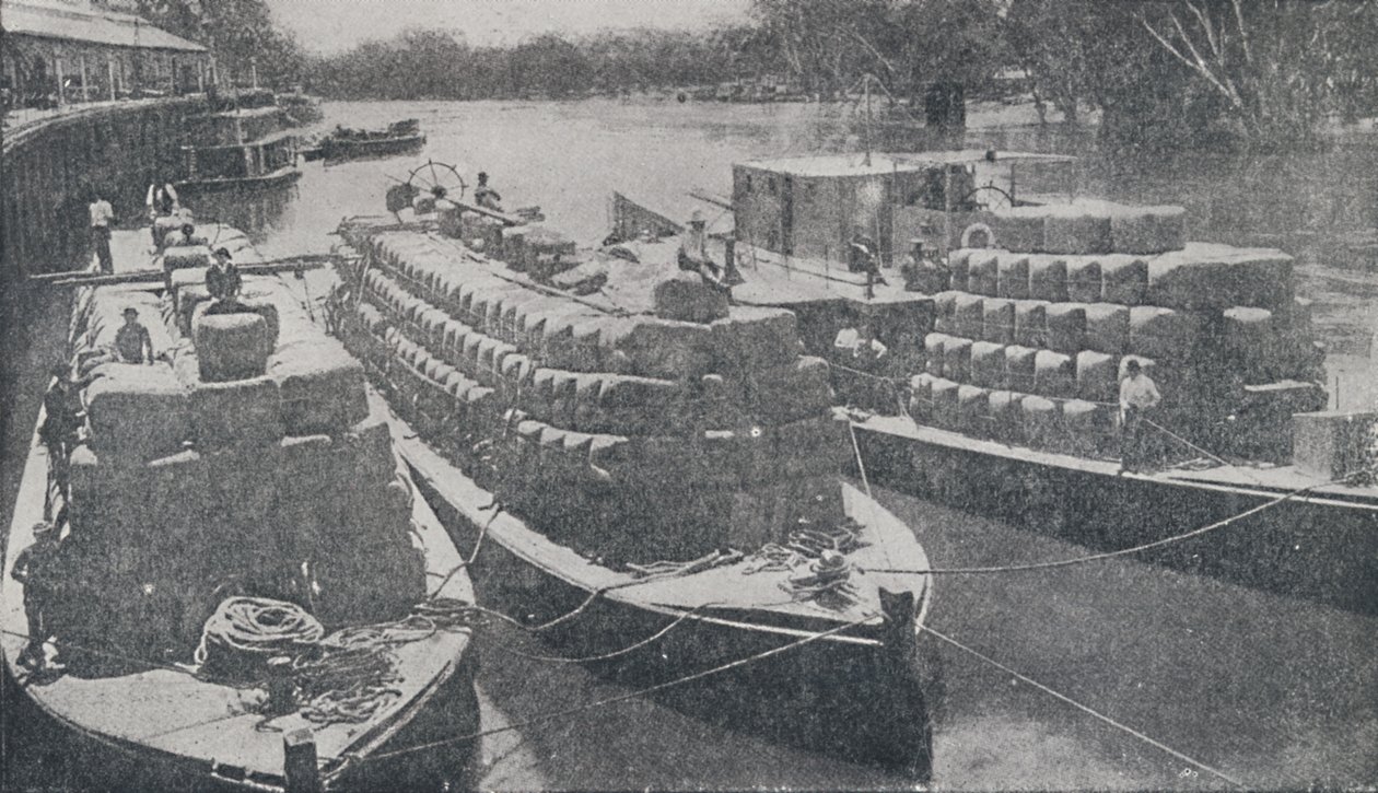 Wol Barges op de Murray River door Unbekannt
