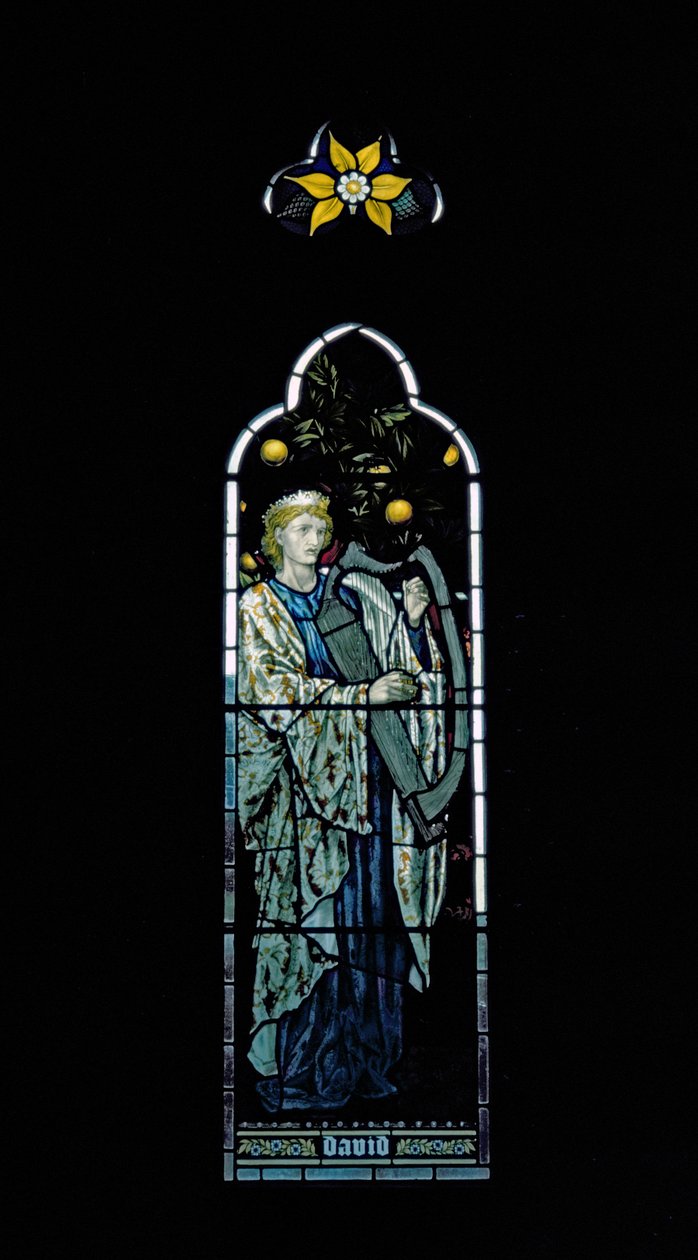 David door William Morris (1834-96) door Unbekannt Unbekannt