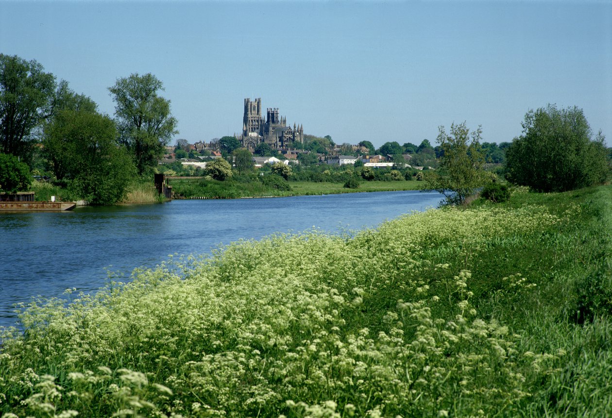 Ely Kathedraal en de rivier Ouse door Unbekannt Unbekannt