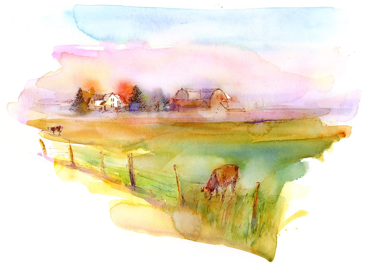 Landschap met Koeien, 2016 door Unbekannt Unbekannt