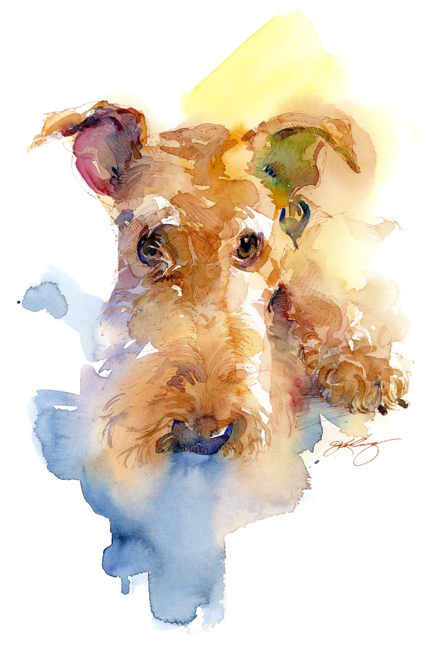 Dexter portret, 2015 door Unbekannt Unbekannt