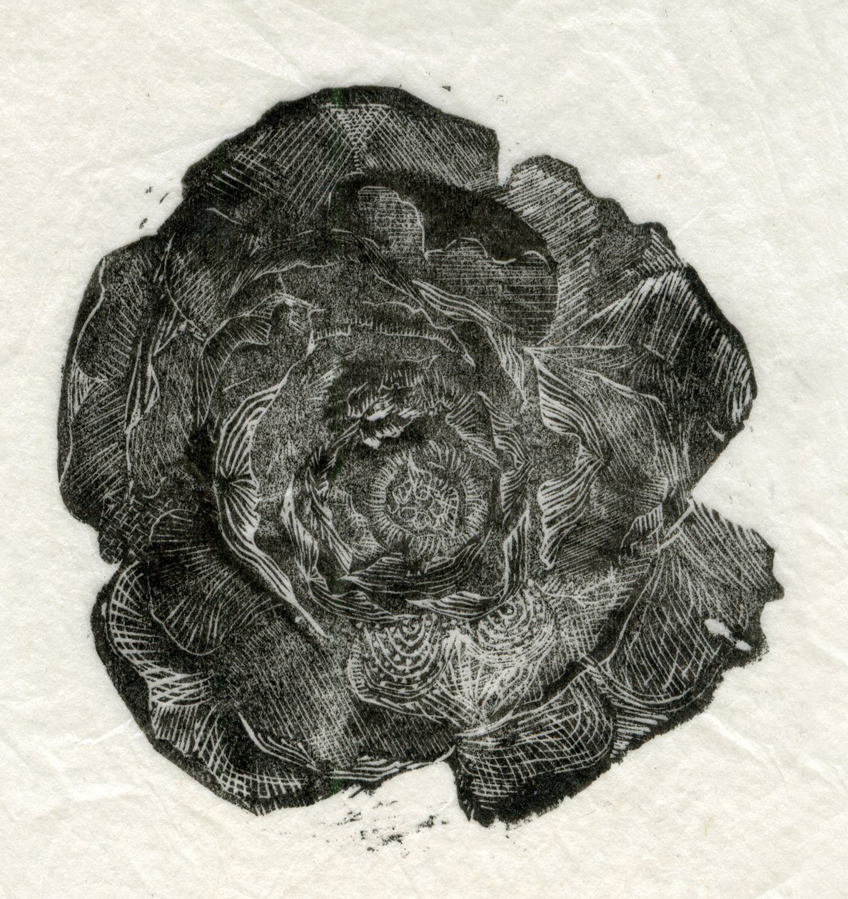 Pine Rose, 2014 door Unbekannt Unbekannt
