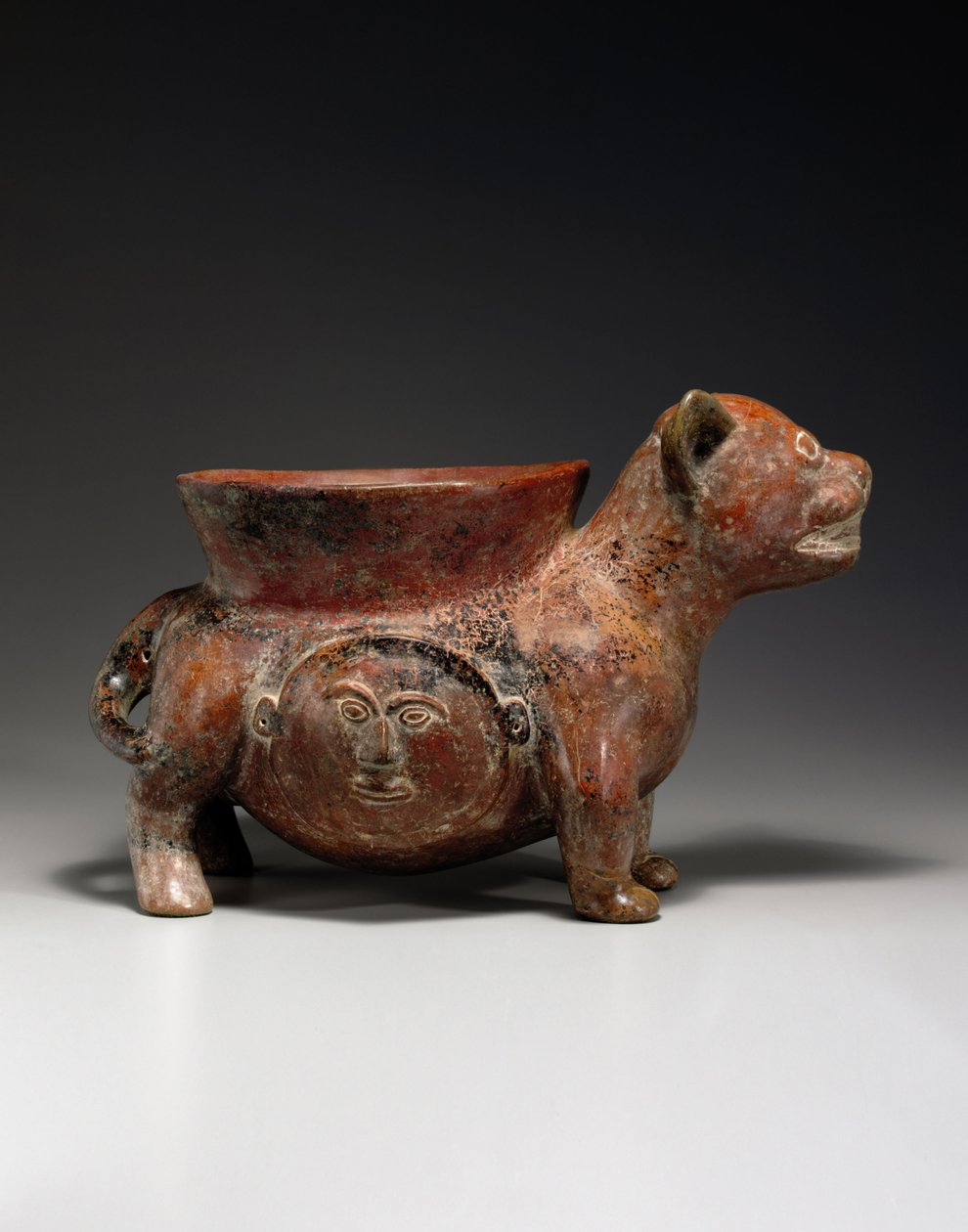 Een Colima Hond, c. 100 v.Chr.-250 n.Chr. door Unbekannt