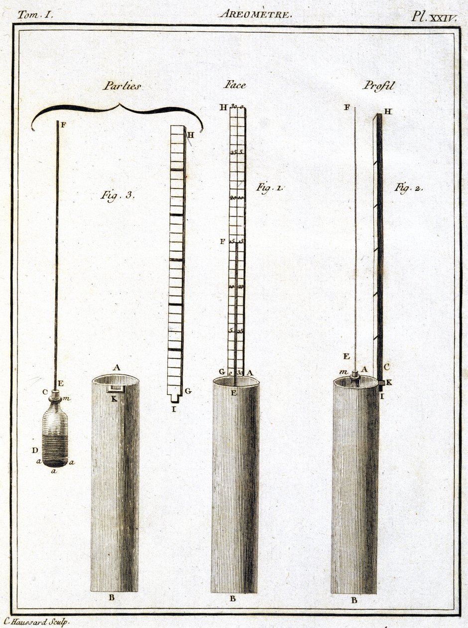 Areometer (hydrometer of densimeter) door Unbekannt