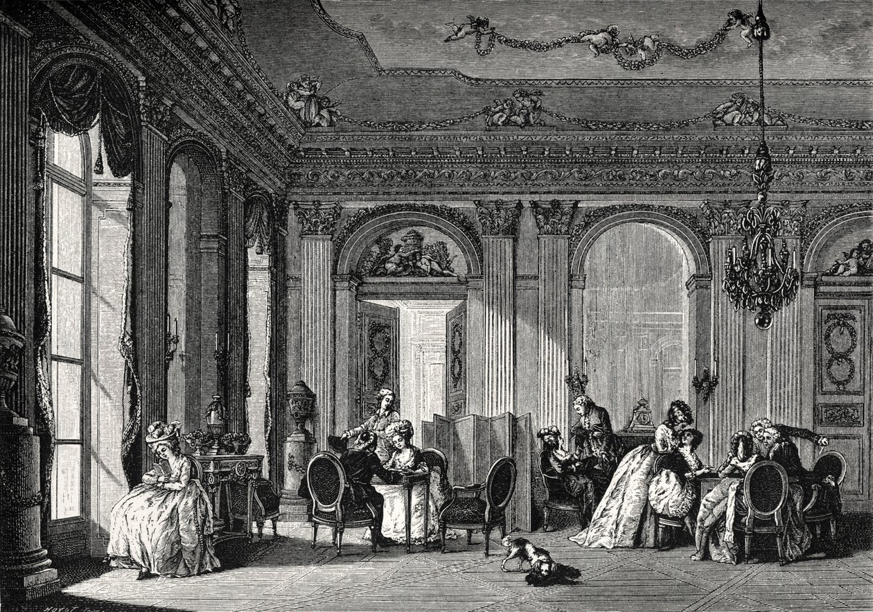 Dagelijks leven in de Franse geschiedenis door Leopold Blonder