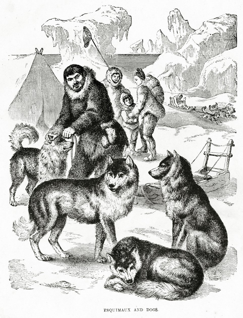 Eskimo