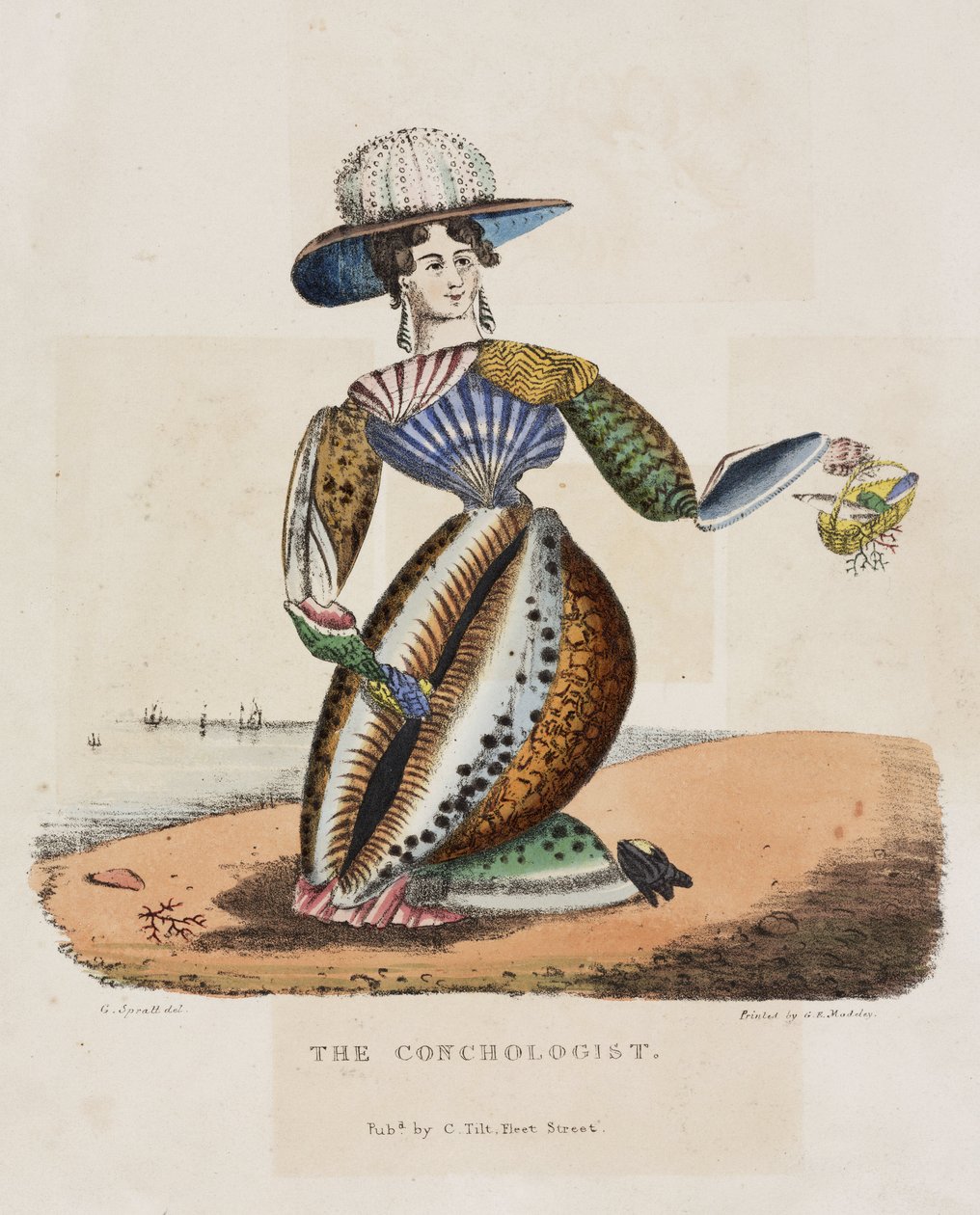 De conchylioloog, circa 1831 door Unbekannt