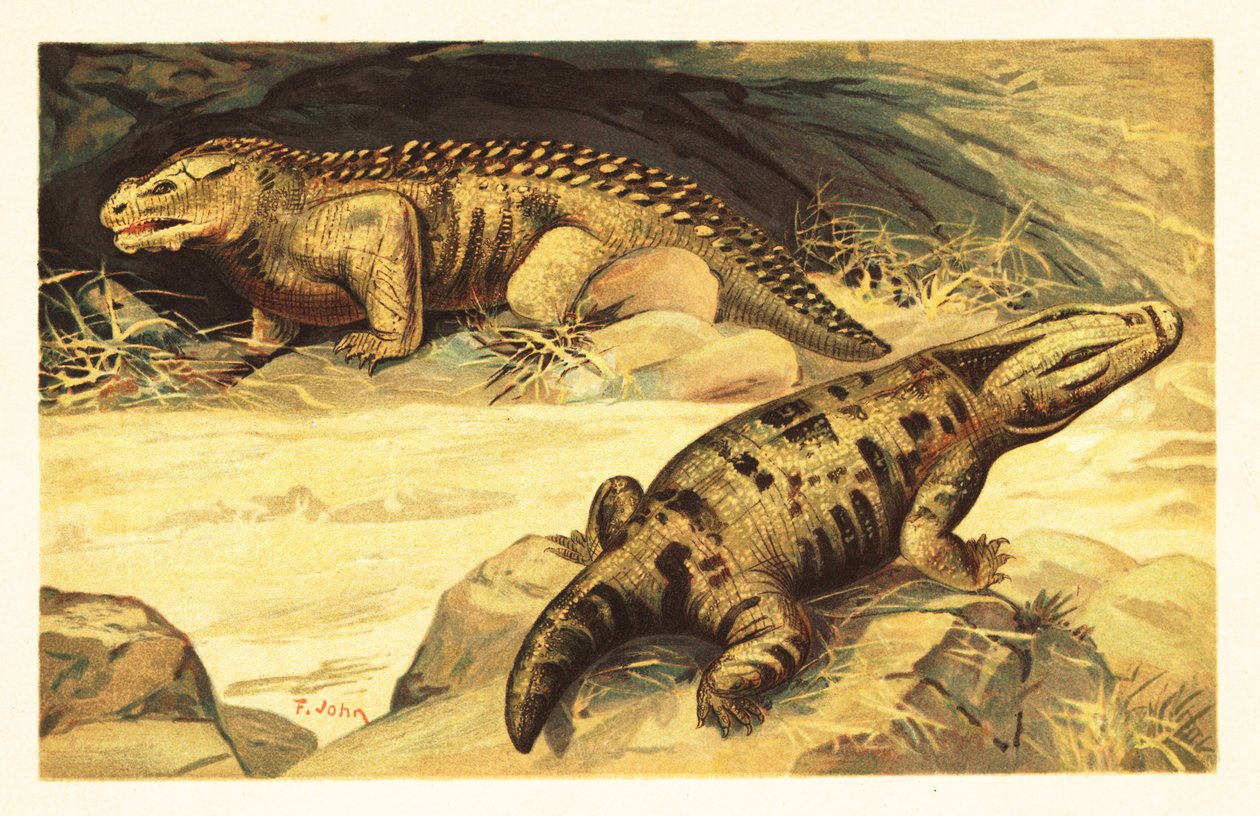 Mastodonsaurus en Pareiasaurus, 1908 door Unbekannter Künstler