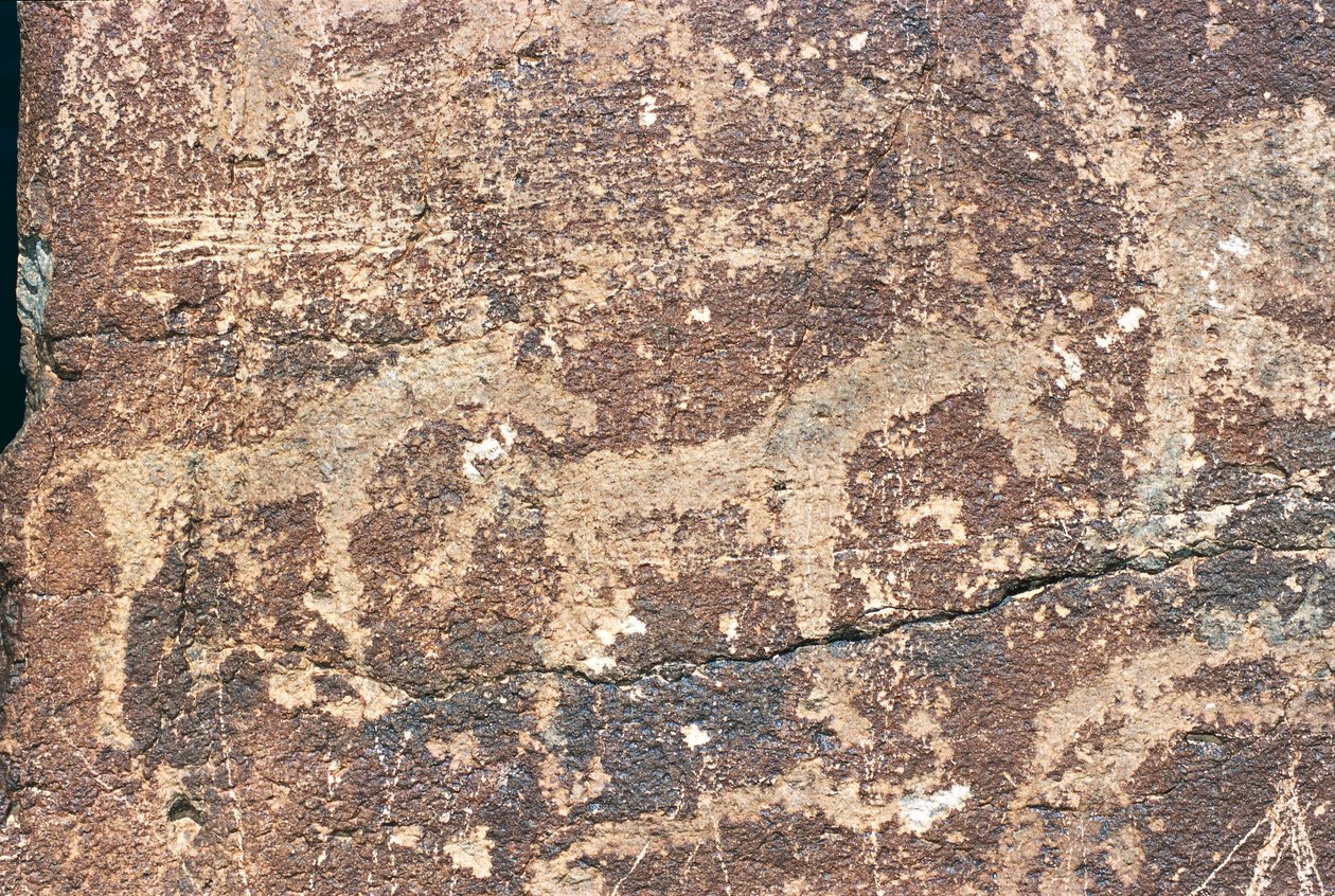 Mongolië, Gobi-woestijn, rotstekening door Benjamin Baud