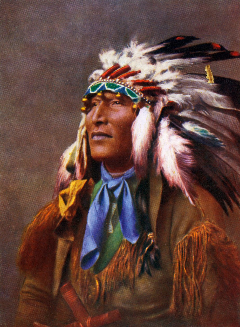 Inheemse Amerikaan in traditionele kleding door Unbekannter Künstler