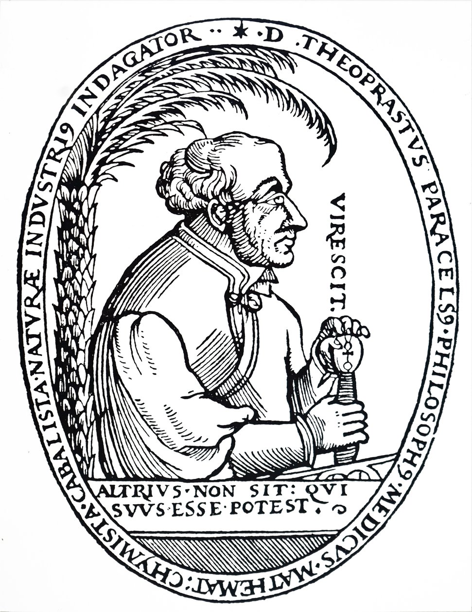 Paracelsus door Unbekannt