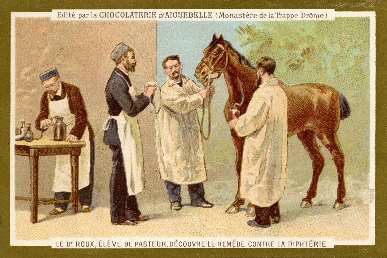 Pierre Paul Émile Roux door Unbekannter Künstler